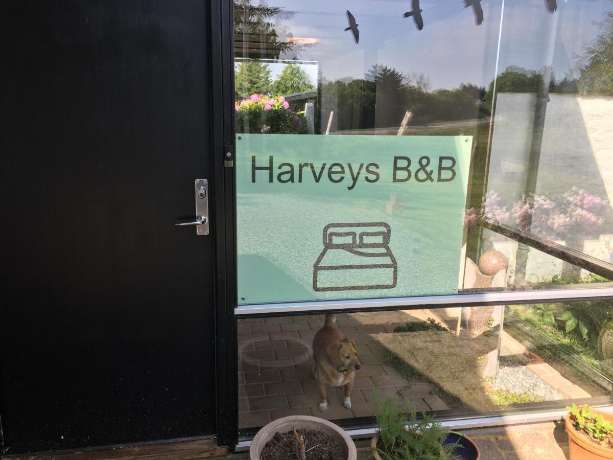 Harvey'S Bed & Breakfast Hjørring Esterno foto